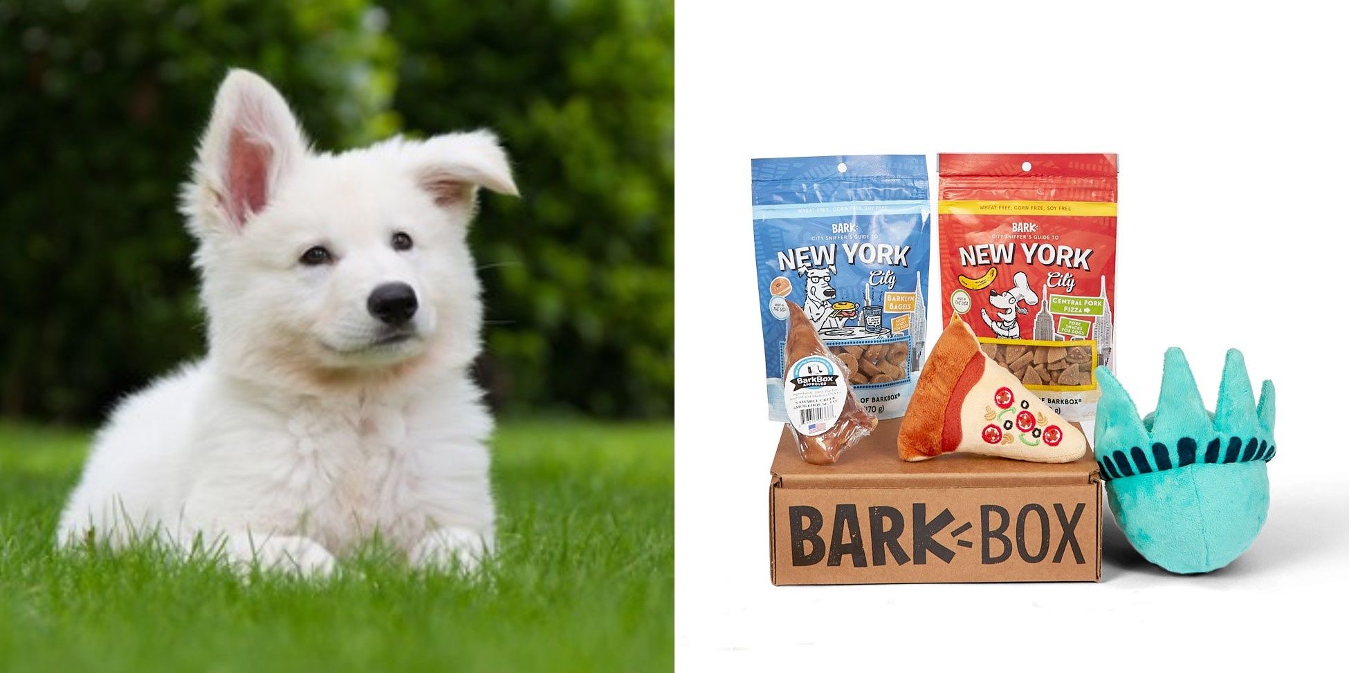 white puppy, next to image of dog treats and toys