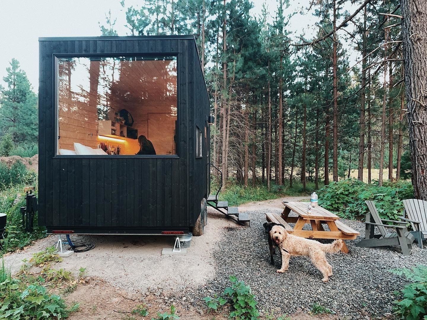 dog and getaway cabin