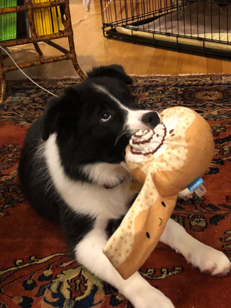 Treat Your Dog To Adorable Toys From BarkBox