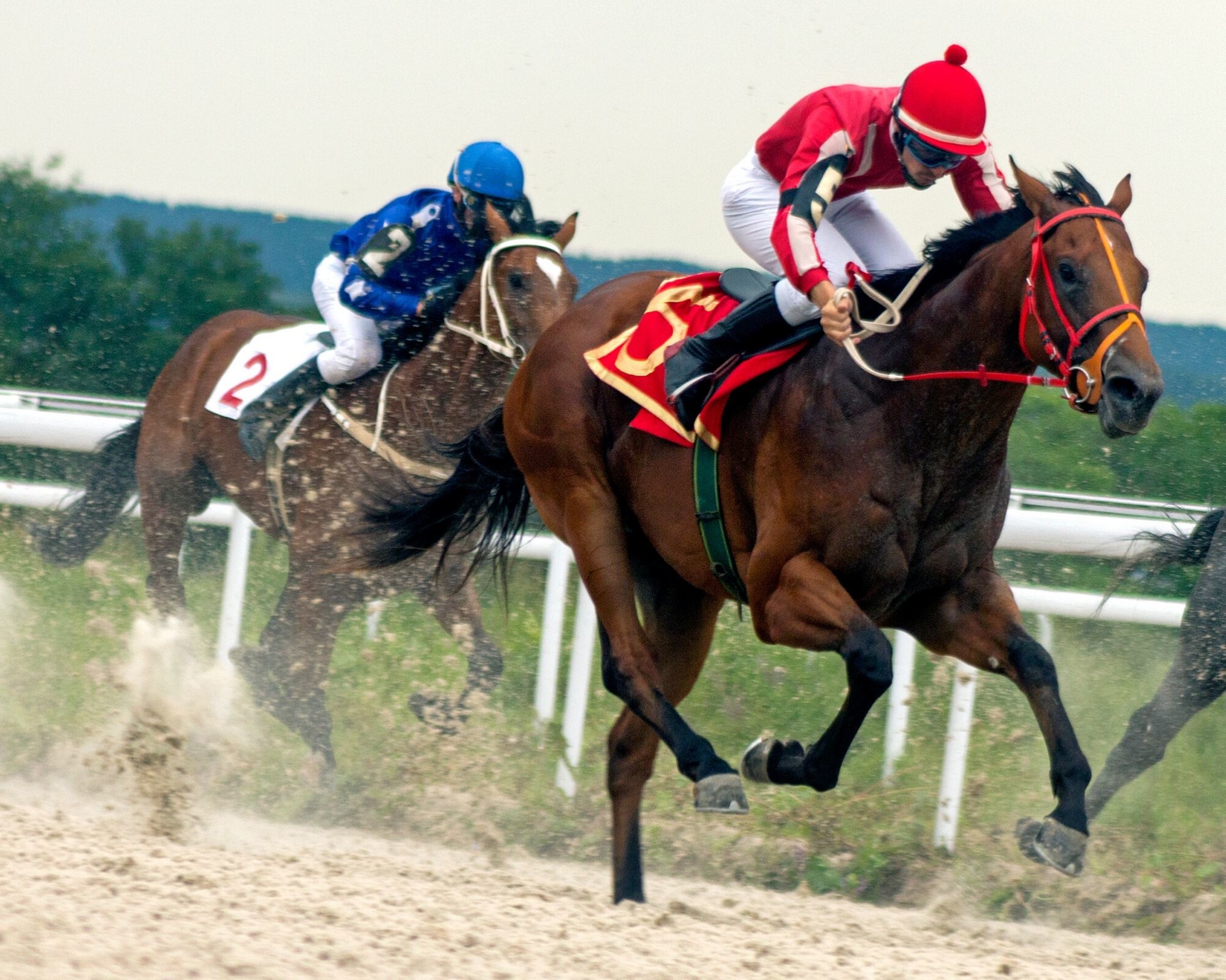 The Breeder’s Cup Is On. Are You Ready?