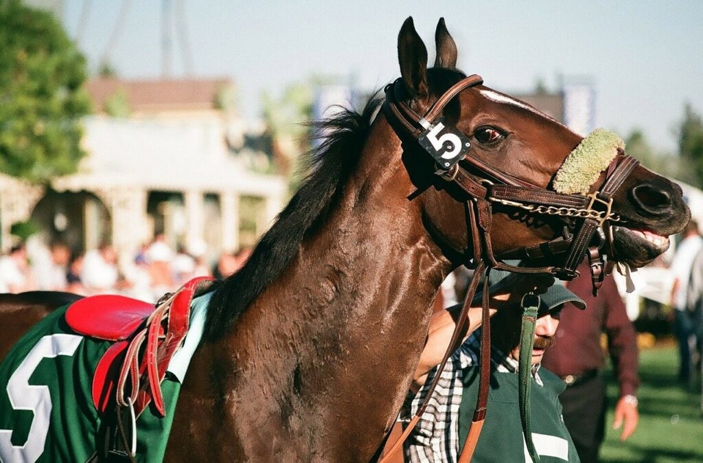 Everything You Need To Know About FanDuel’s TVG