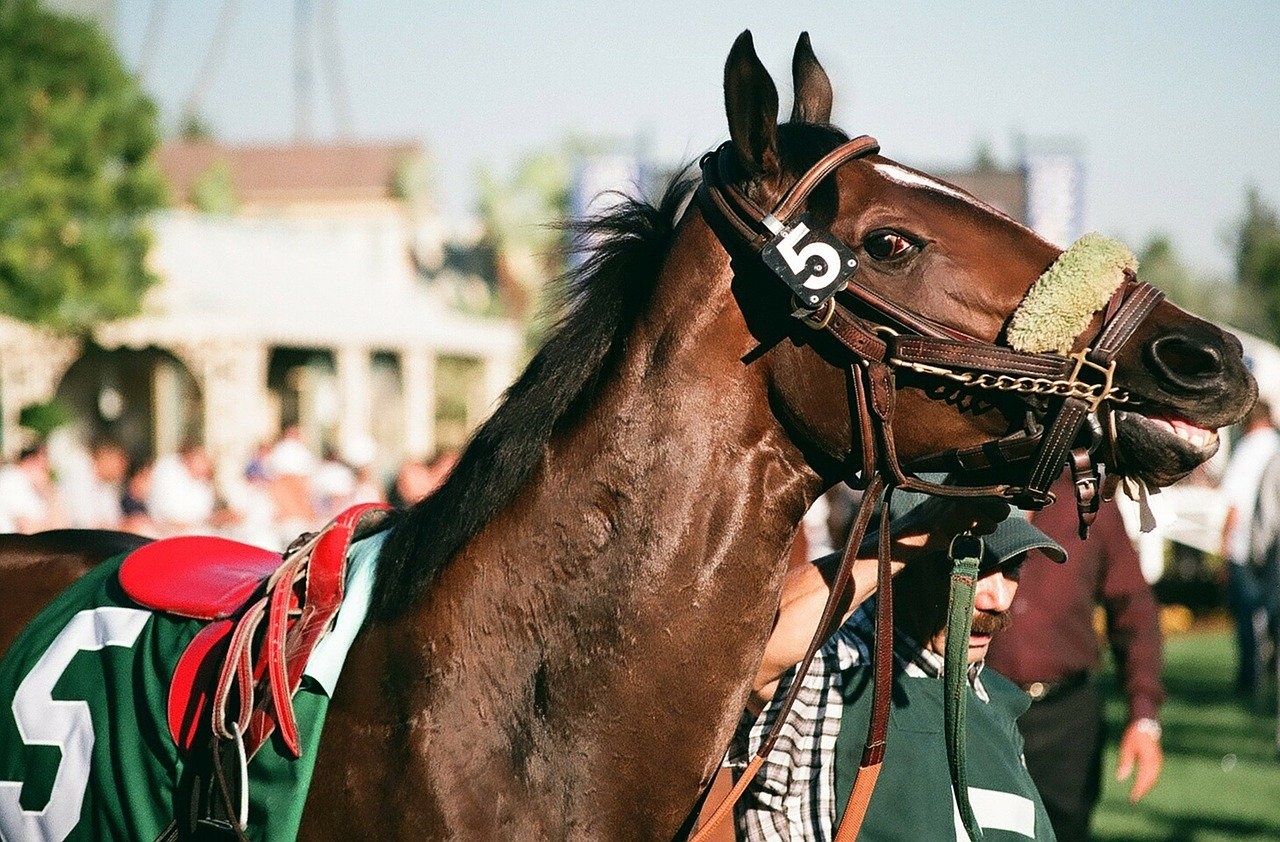 Everything You Need To Know About FanDuel’s TVG