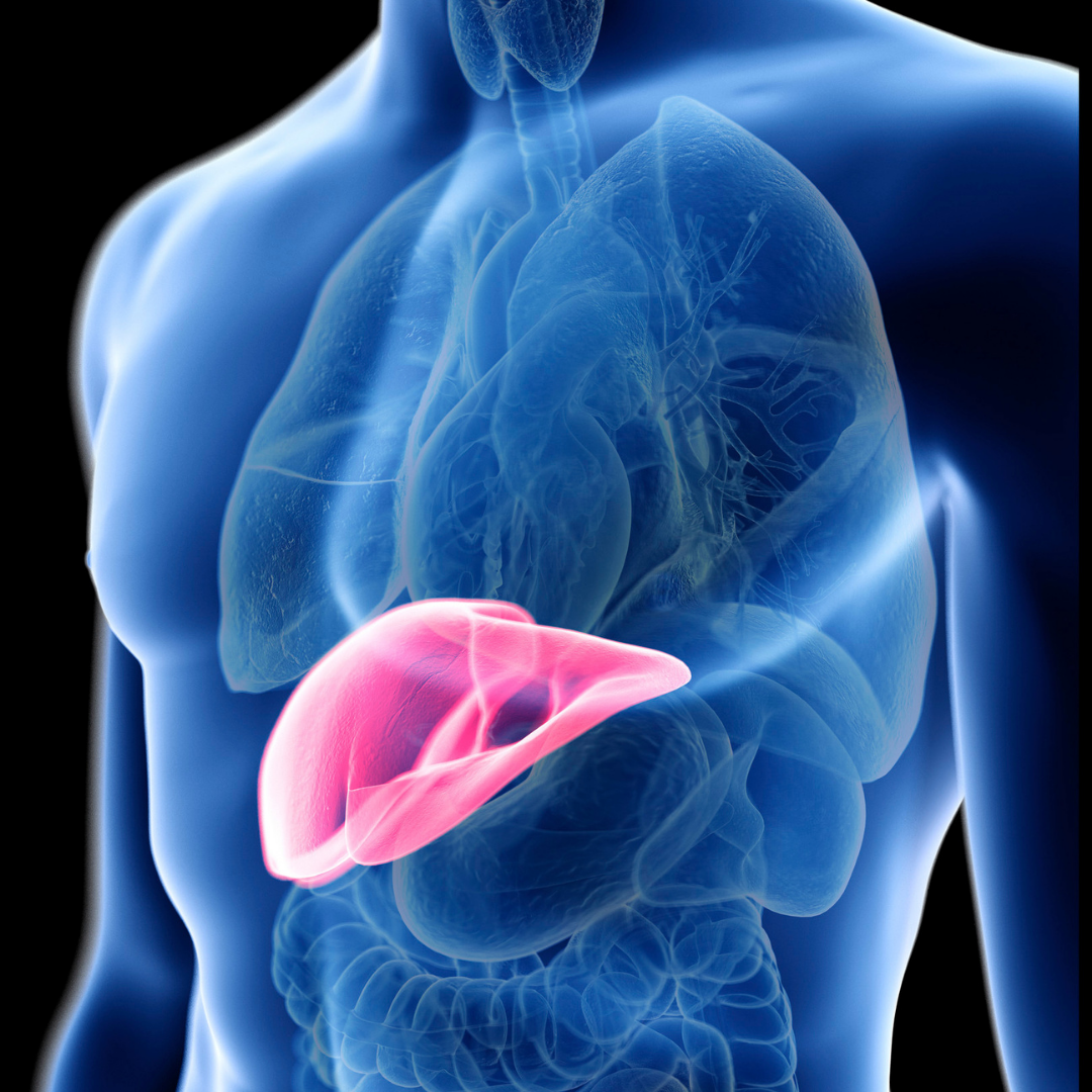 Why Liver ​Detoxes Are A Scam (And How To Actually Help Your Liver)