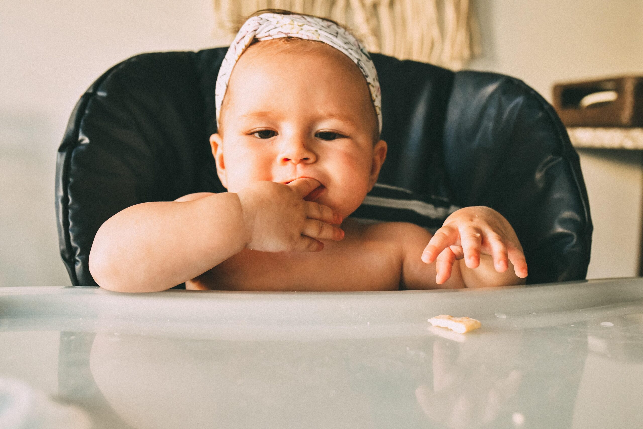 Best Baby Food Comparison: Editor’s Review