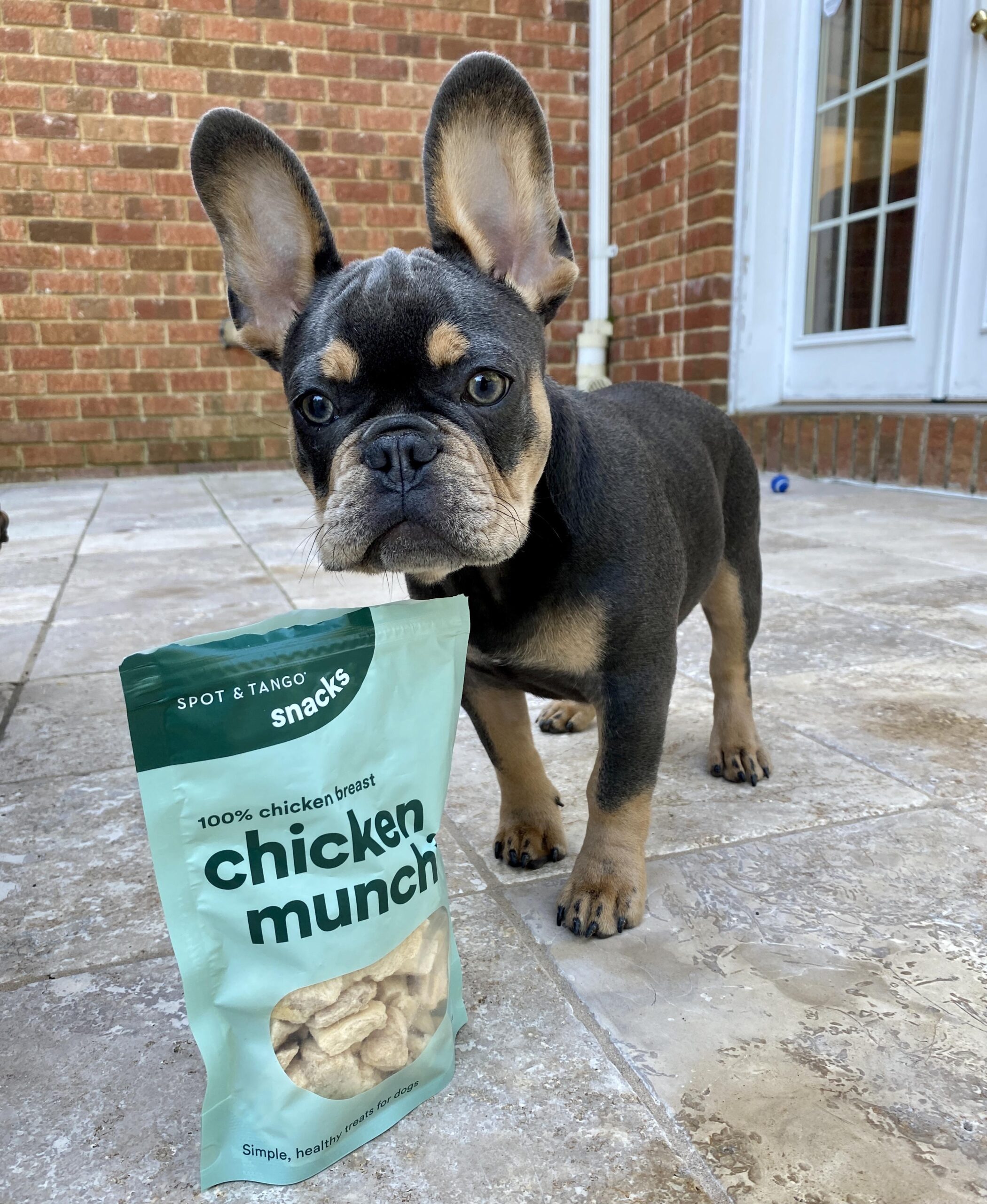Spot & Tango Is Offering 50% Off AND Free Treats For Life!