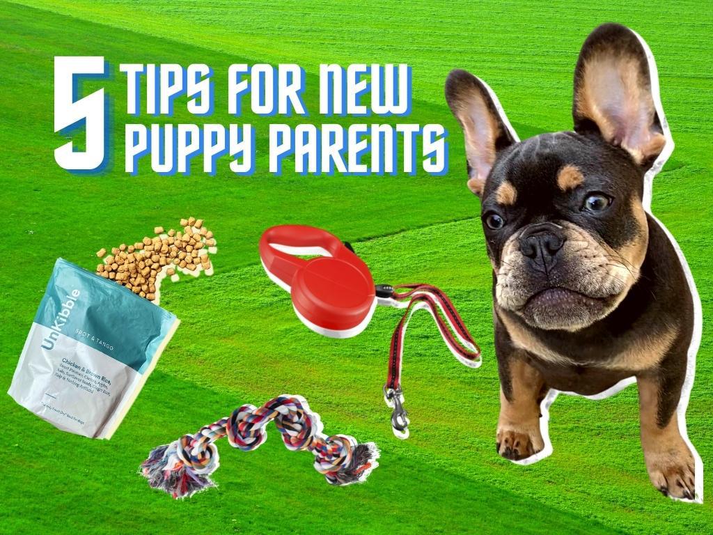 5 Tips For New Puppy Parents