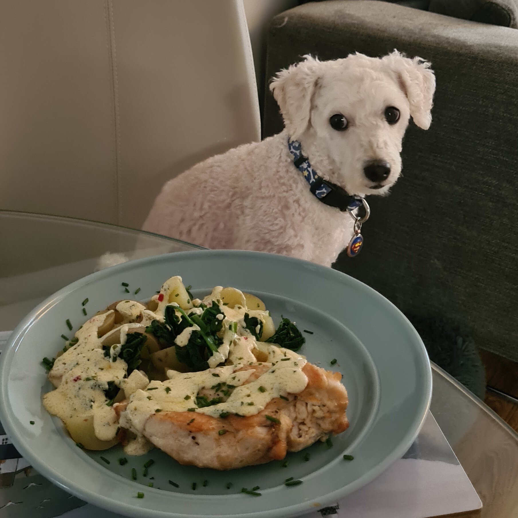 HelloFresh – ik wist niet dat ik het nodig had en nu is het onmisbaar