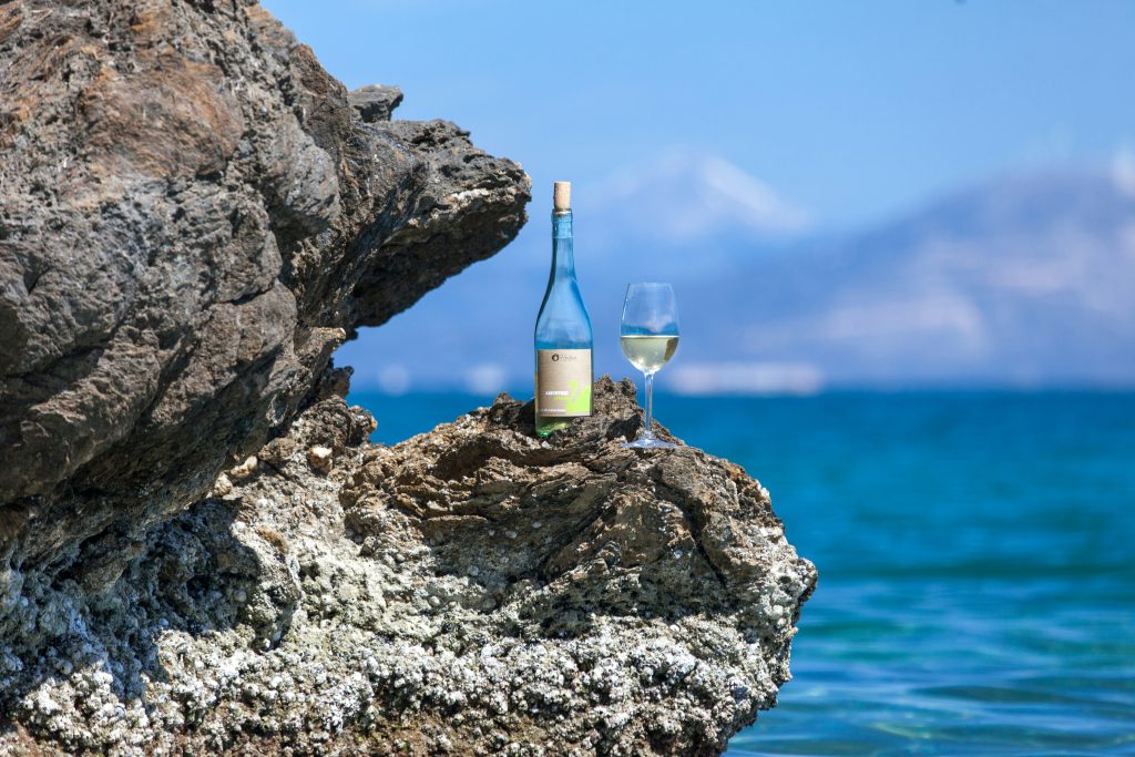 Sunshine in a Glass - 10 Summer Wines Worth The Pour